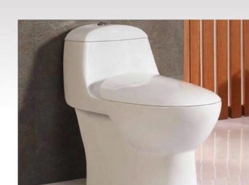 十年衛(wèi)浴銷售專家揭秘 選對(duì)馬桶，潔凈廁所長(zhǎng)久無憂